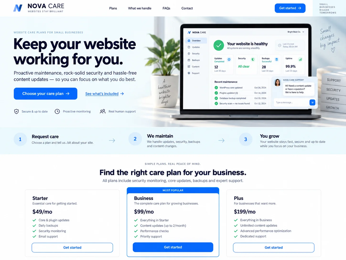 Website Maintenance — Conversion path